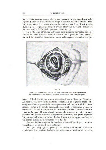 L'oto-rino-laringologia italiana