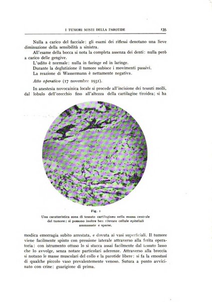 L'oto-rino-laringologia italiana