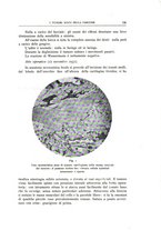 giornale/CFI0360651/1933/unico/00000145