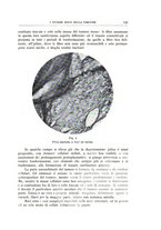 giornale/CFI0360651/1933/unico/00000147