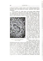 giornale/CFI0360651/1933/unico/00000314