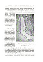 giornale/CFI0360651/1933/unico/00000317