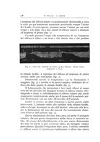 giornale/CFI0360651/1933/unico/00000500