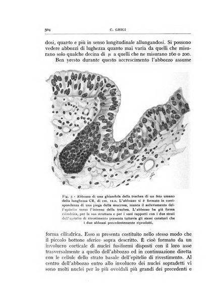 L'oto-rino-laringologia italiana