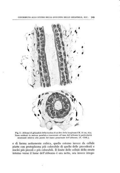 L'oto-rino-laringologia italiana