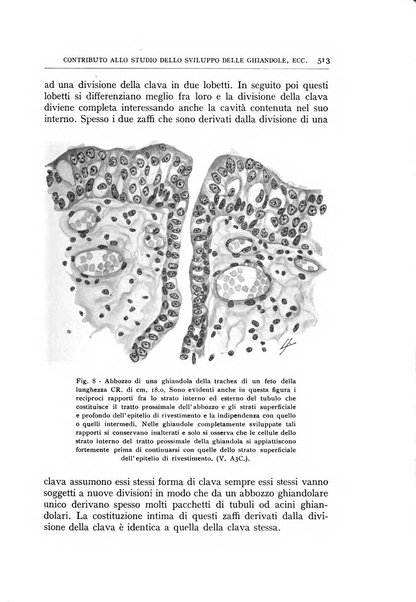 L'oto-rino-laringologia italiana