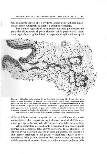 L'oto-rino-laringologia italiana