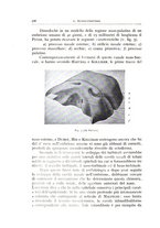 giornale/CFI0360651/1933/unico/00000548