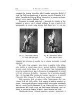 giornale/CFI0360651/1933/unico/00000600