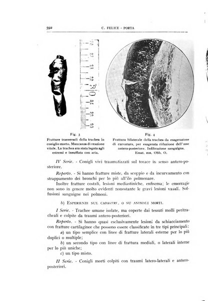 L'oto-rino-laringologia italiana