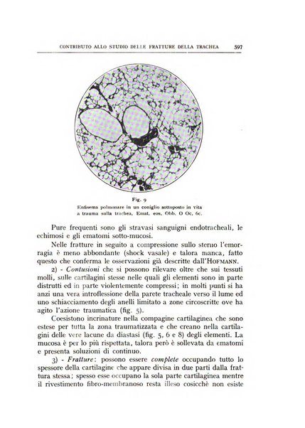 L'oto-rino-laringologia italiana