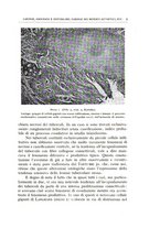 giornale/CFI0360651/1935/unico/00000015