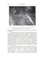 giornale/CFI0360651/1935/unico/00000028