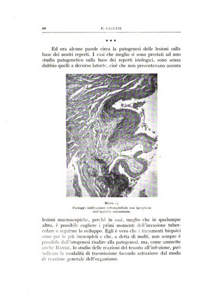 L'oto-rino-laringologia italiana