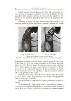 giornale/CFI0360651/1935/unico/00000042