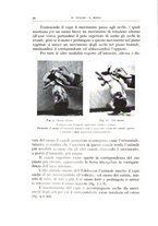 giornale/CFI0360651/1935/unico/00000044