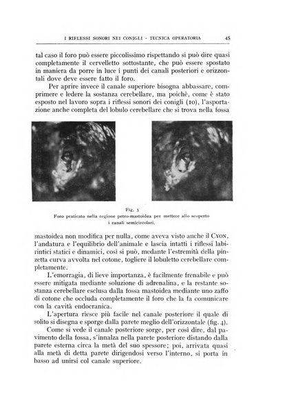 L'oto-rino-laringologia italiana