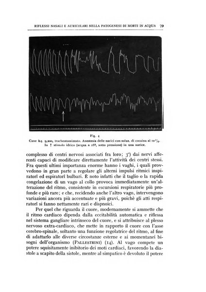 L'oto-rino-laringologia italiana