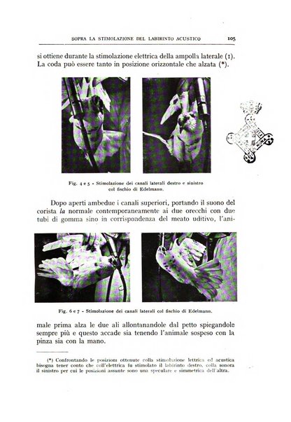 L'oto-rino-laringologia italiana