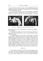 giornale/CFI0360651/1935/unico/00000130