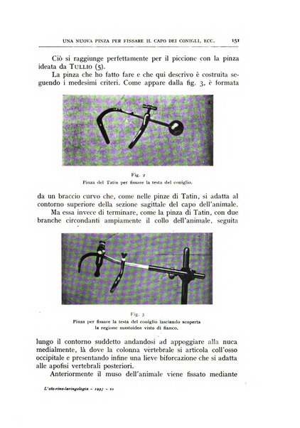 L'oto-rino-laringologia italiana