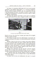 giornale/CFI0360651/1935/unico/00000175