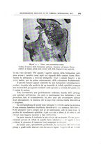 giornale/CFI0360651/1935/unico/00000333