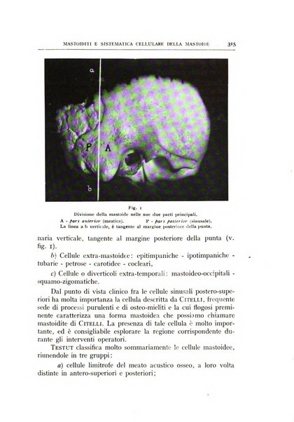 L'oto-rino-laringologia italiana