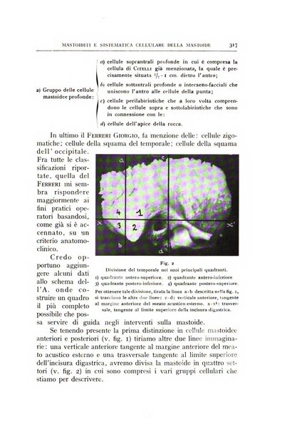 L'oto-rino-laringologia italiana