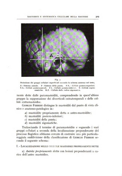 L'oto-rino-laringologia italiana