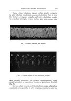 giornale/CFI0360651/1935/unico/00000487