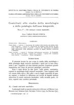 giornale/CFI0360651/1935/unico/00000521