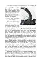 giornale/CFI0360651/1935/unico/00000527