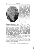 giornale/CFI0360651/1935/unico/00000528