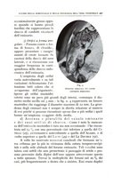 giornale/CFI0360651/1935/unico/00000529