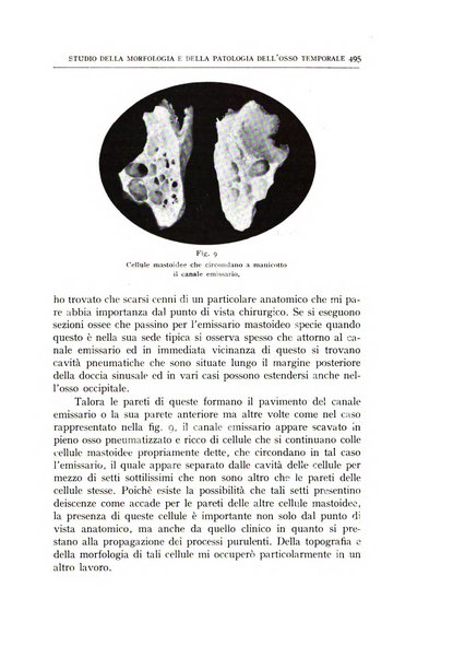 L'oto-rino-laringologia italiana