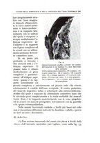 giornale/CFI0360651/1935/unico/00000539