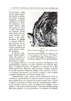 giornale/CFI0360651/1935/unico/00000541