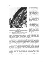 giornale/CFI0360651/1935/unico/00000542