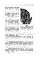 giornale/CFI0360651/1935/unico/00000545