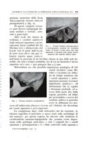 giornale/CFI0360651/1935/unico/00000653