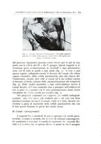 giornale/CFI0360651/1935/unico/00000657