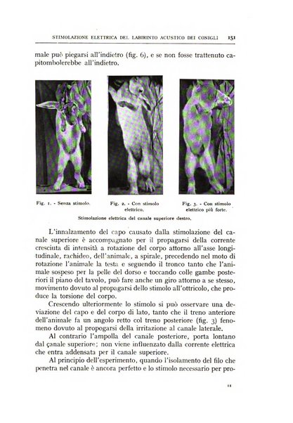 L'oto-rino-laringologia italiana