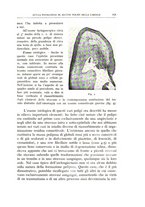 giornale/CFI0360651/1936/unico/00000185