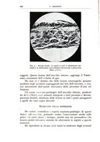 giornale/CFI0360651/1936/unico/00000256