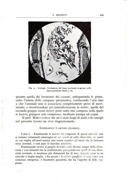 L'oto-rino-laringologia italiana