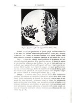 giornale/CFI0360651/1936/unico/00000258