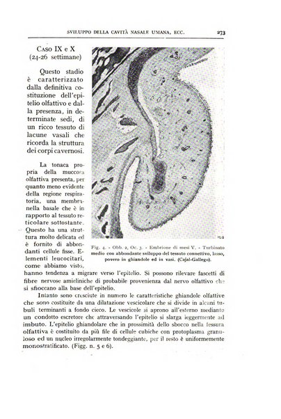 L'oto-rino-laringologia italiana