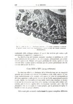 giornale/CFI0360651/1936/unico/00000296