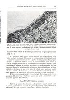 giornale/CFI0360651/1936/unico/00000297